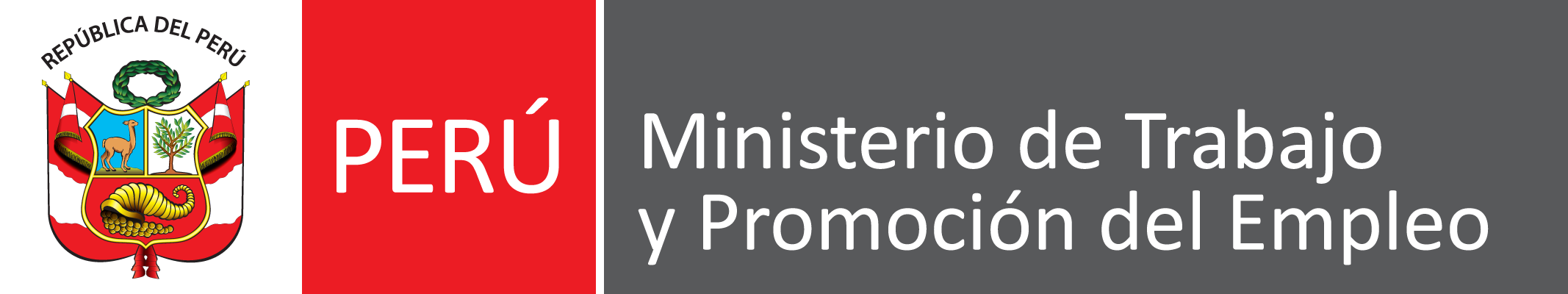 Nuestro equipo en acción